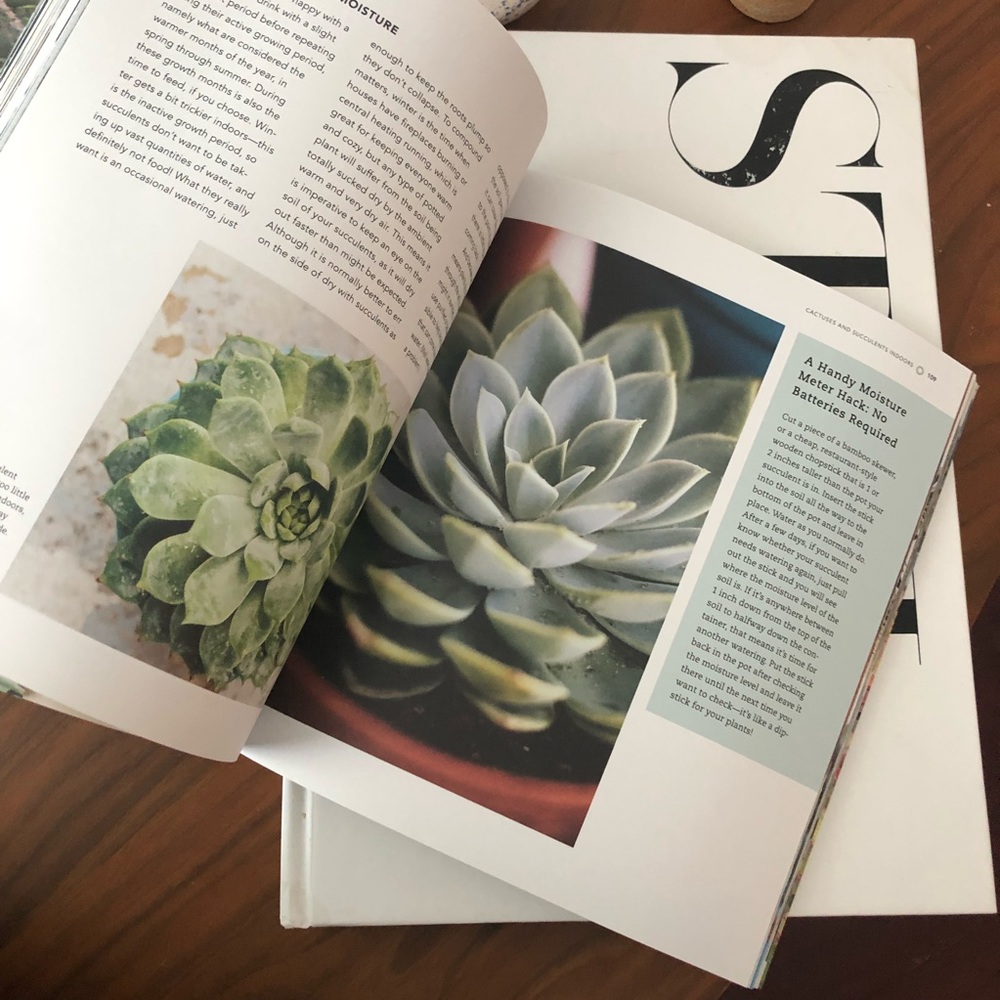 Succulents Book - Picture 2 of 6